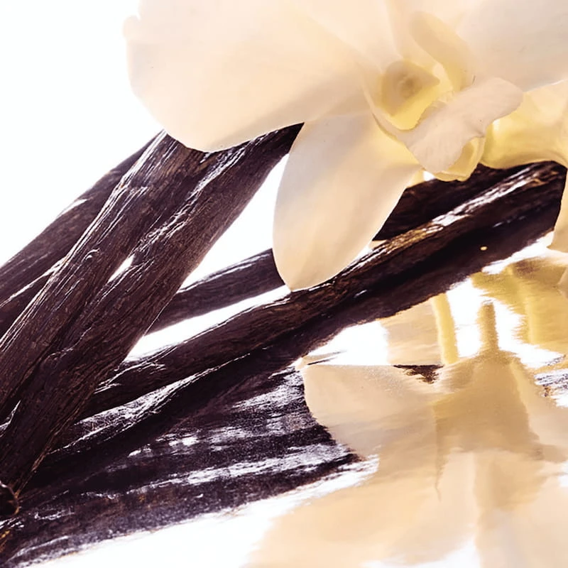 Guerlain Shalimar Eau De Parfum Vaporisateur Recharge 50 Ml â Image 3