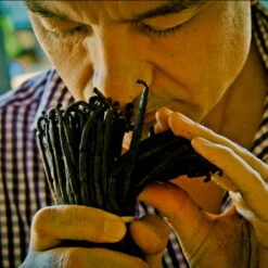 Guerlain Shalimar Eau De Parfum