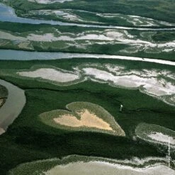 Guerlain Aqua Allegoria Nettare Di Sole Eau De Toilette