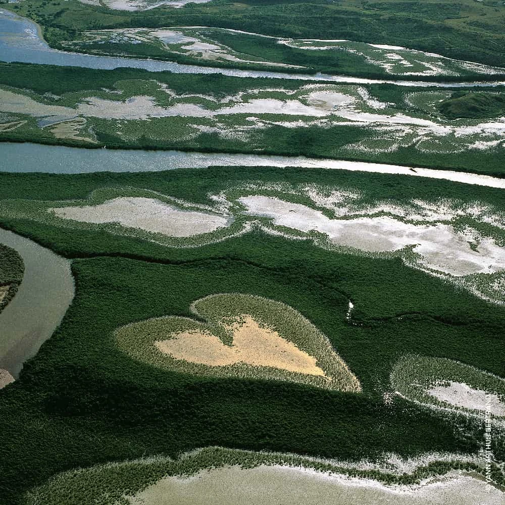 Guerlain Aqua Allegoria Nettare Di Sole Eau De Toilette