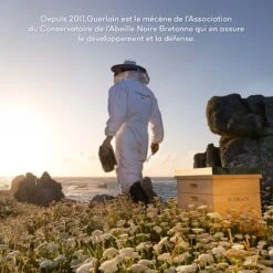 Guerlain Abeille Royale Huile-en-Baume Jeunesse