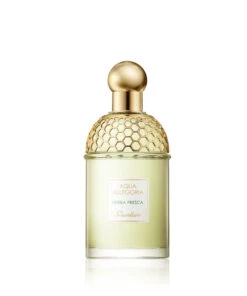 Guerlain Aqua Allegoria Herba Fresca Eau De Toilette 75 Ml