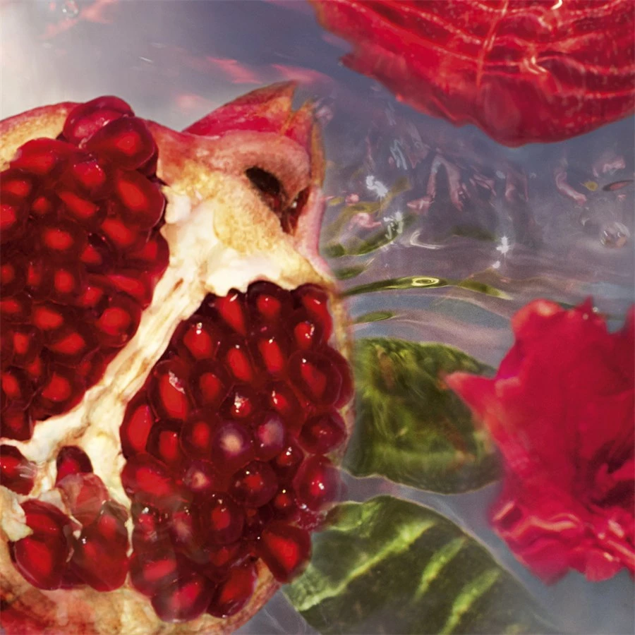 Aqua Allegoria Eau De Toilette Spray Granada Salvia De GUERLAIN â Image 4