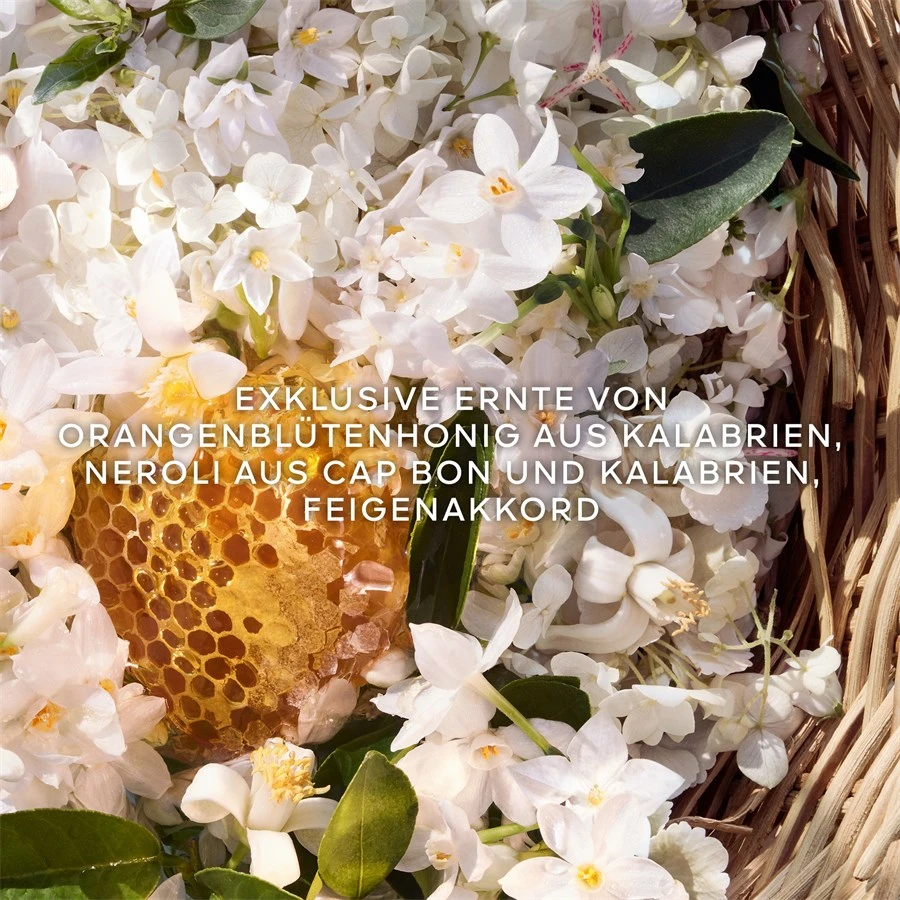 Aqua Allegoria Eau De Toilette Spray Nerolia Vetiver Harvest De GUERLAIN â Image 4