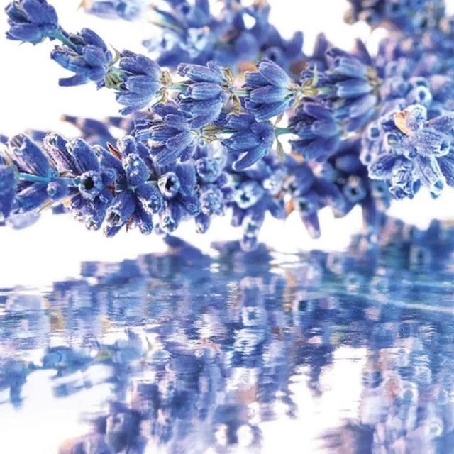 Guerlain - Mon Guerlain Coffret Eau De Parfum Avec Sa Miniature Et Son Lait Corps â Image 3