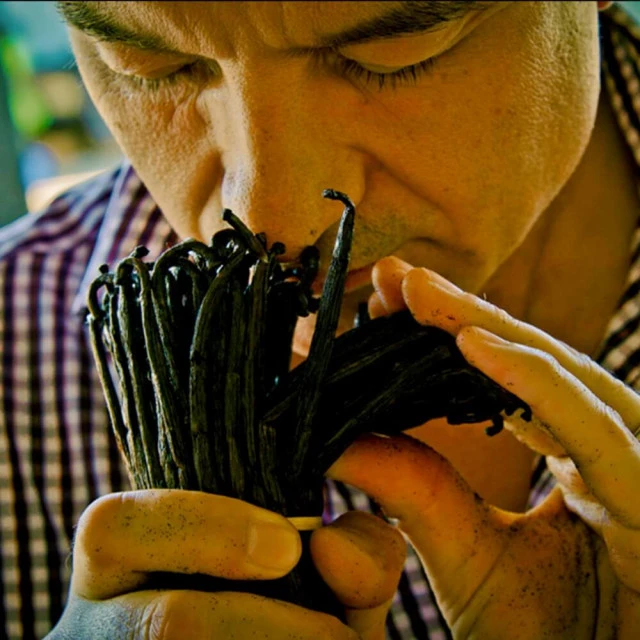 Guerlain - Shalimar Coffret Eau De Parfum 50ml, Lait Corps Et CĂ©ramique â Image 3