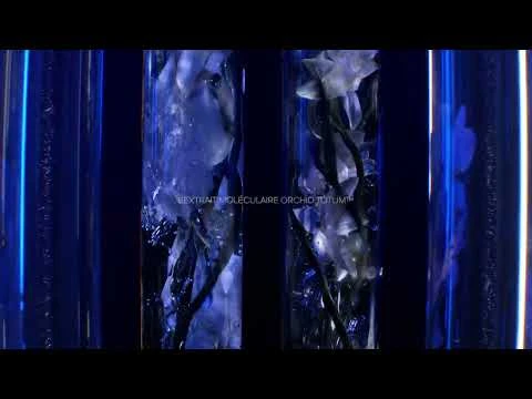 Guerlain Orchidée Impériale Recharge Crème 50 Ml – Image 7