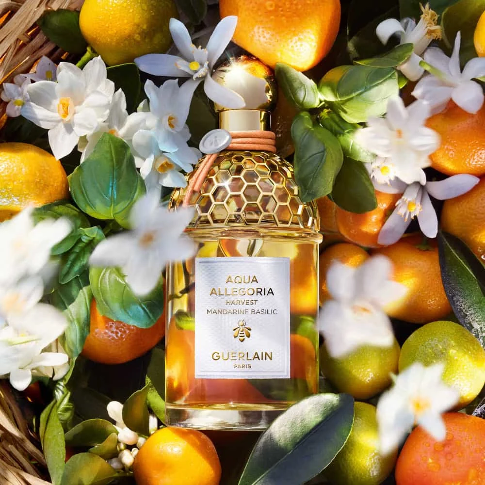 Guerlain Aqua Allegoria Harvest Mandarine Basilic Eau De Toilette Vaporisateur 125 Ml â Image 3