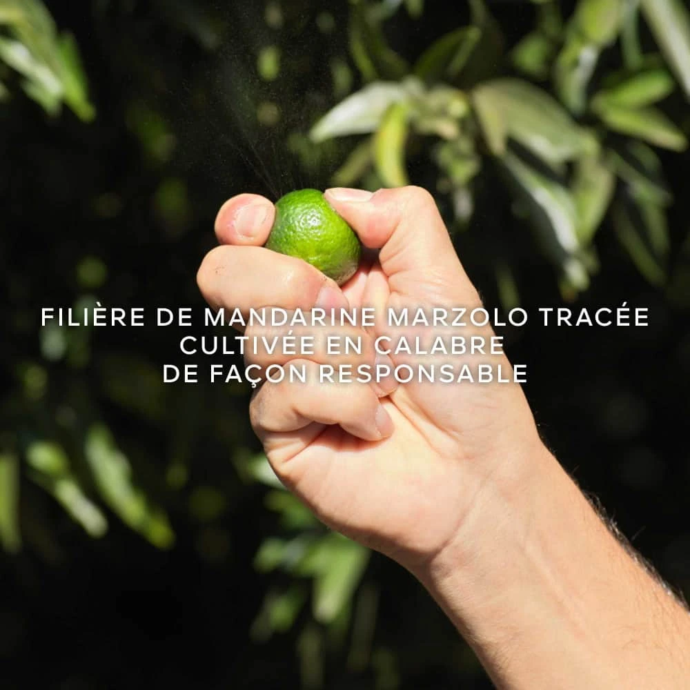 Guerlain Aqua Allegoria Harvest Mandarine Basilic Eau De Toilette Vaporisateur 125 Ml â Image 8